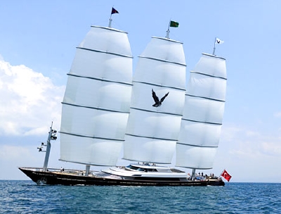 Maltese Falcon