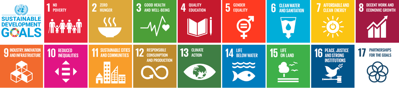 17 sustainable development goals